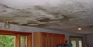 Mold and Water Damage on Ceiling