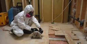 Water Damage La Verne Mold Removal Process