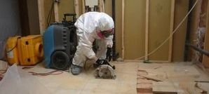 Water Damage Ontario Technician Opening Floor Boards