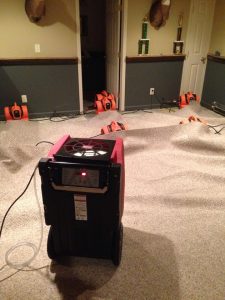 Commercial Restoration Drying Carpet